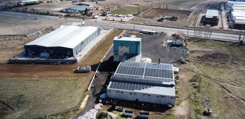 Hayvan Yemi Üretimi