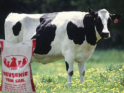 TAMAMLAYICI SIĞIR SÜT YEMİ